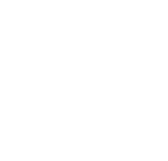 Will Media